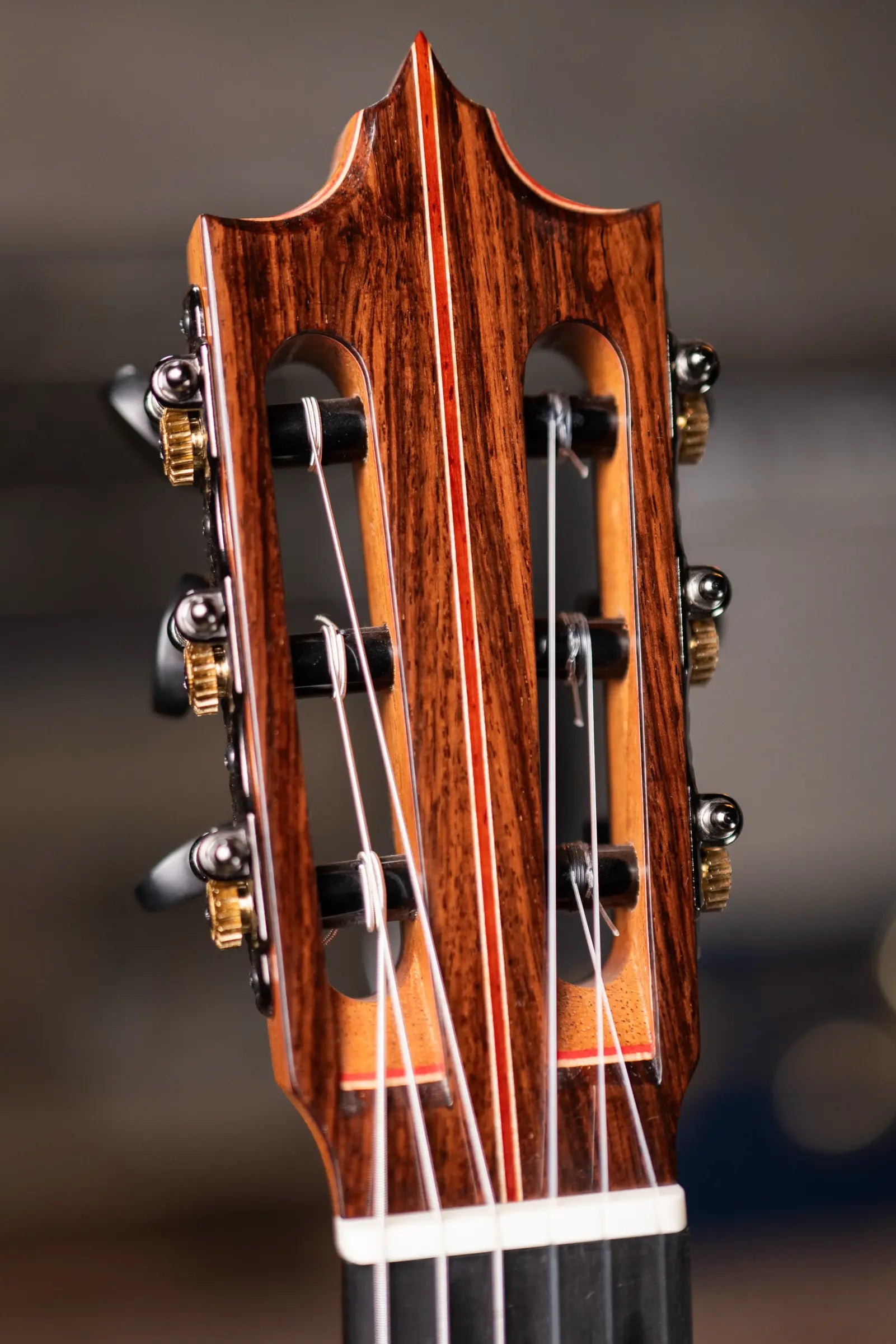 Jose Marques Tradicional Classical Guitar