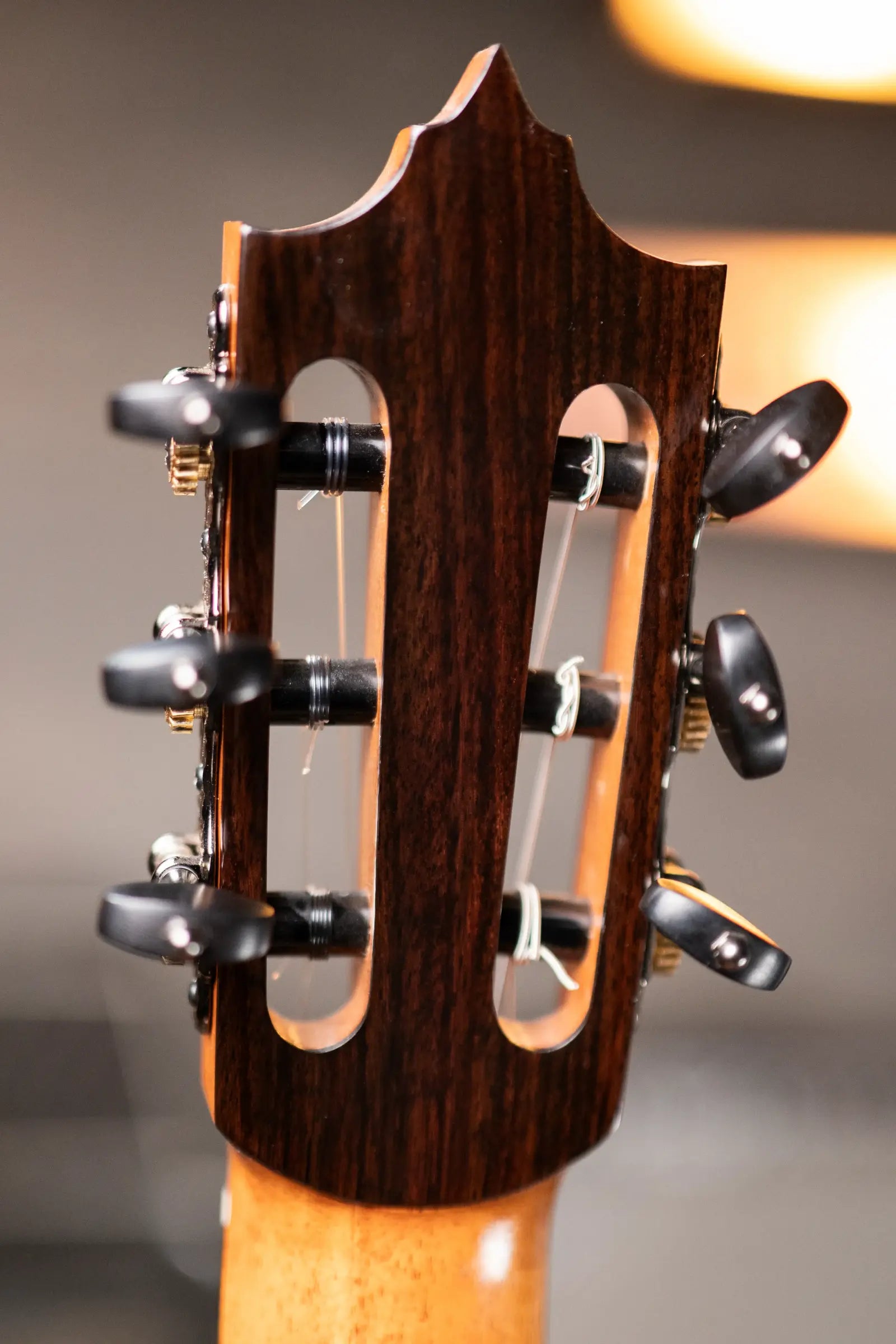 Jose Marques Tradicional Classical Guitar