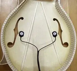 K&K Mandolin Twin Internal Dual-Head Pickup