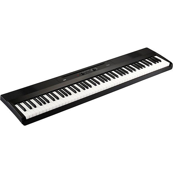 Korg L1 Digital Piano