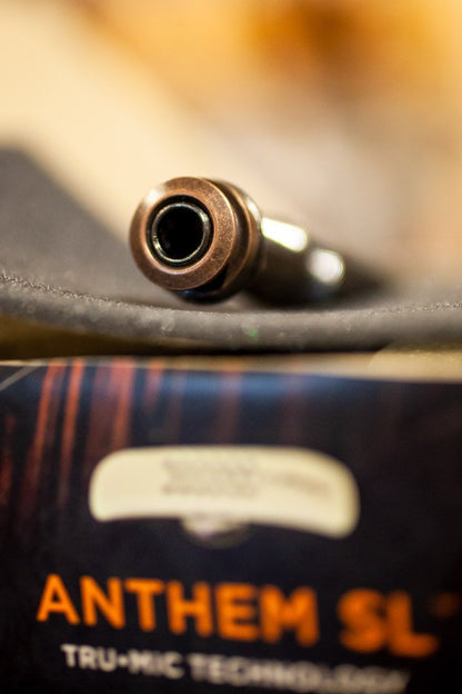 LR Baggs Anthem SL Tru Mic Technology Pickup