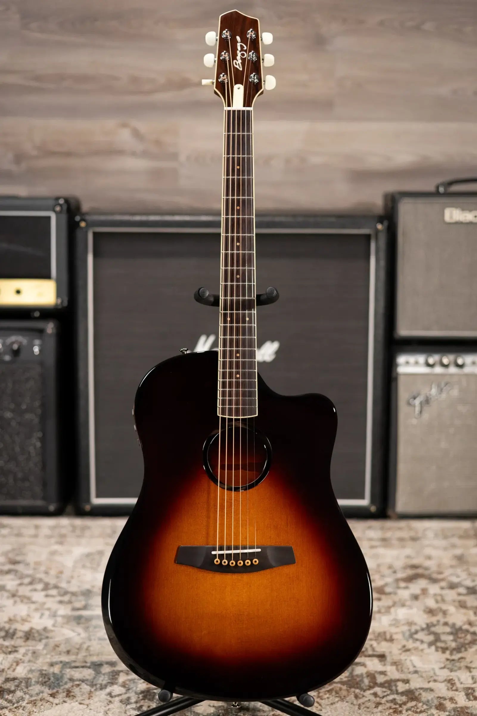 LR Baggs AEG-1 Acoustic/Electric Guitar with Gig Bag - Used