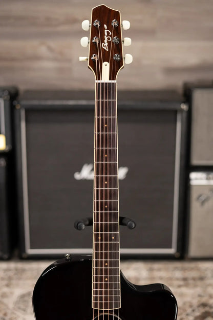 LR Baggs AEG-1 Acoustic/Electric Guitar with Gig Bag - Used