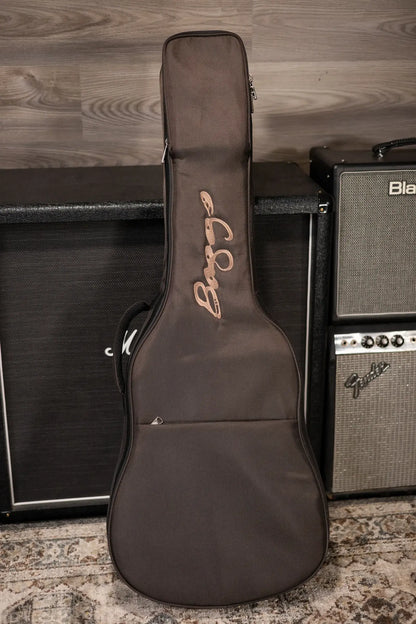 LR Baggs AEG-1 Acoustic/Electric Guitar with Gig Bag - Used