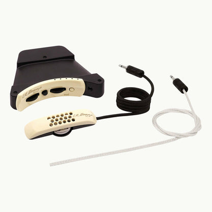 LR Baggs Anthem Tru Mic & Element Pickup