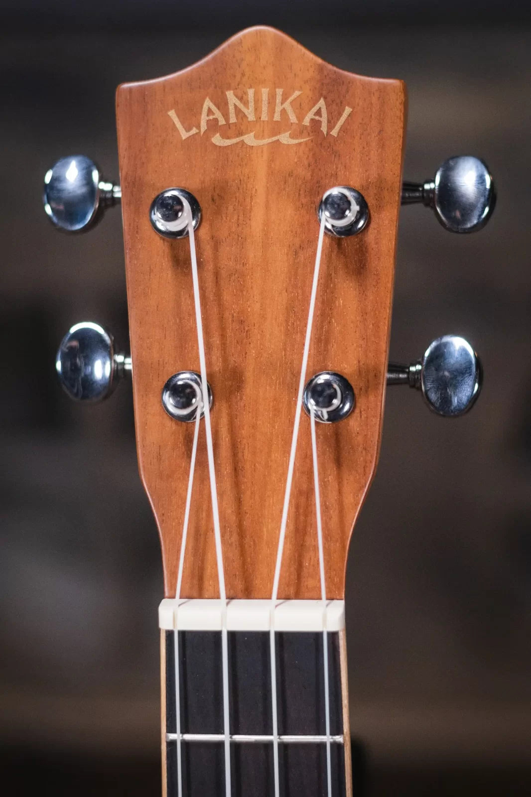 Lanikai ACST T Acacia Solid Top Tenor Ukulele haggertys 05