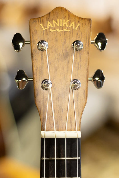 Lanikai CDST C Cedar Solid Top Concert Ukulele haggertys 05