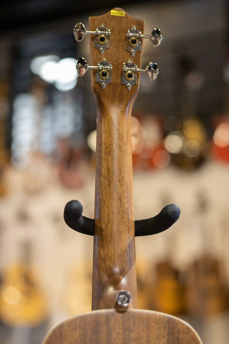 Lanikai CDST C Cedar Solid Top Concert Ukulele haggertys 07