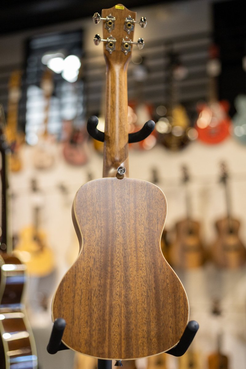 Lanikai CDST C Cedar Solid Top Concert Ukulele haggertys 09