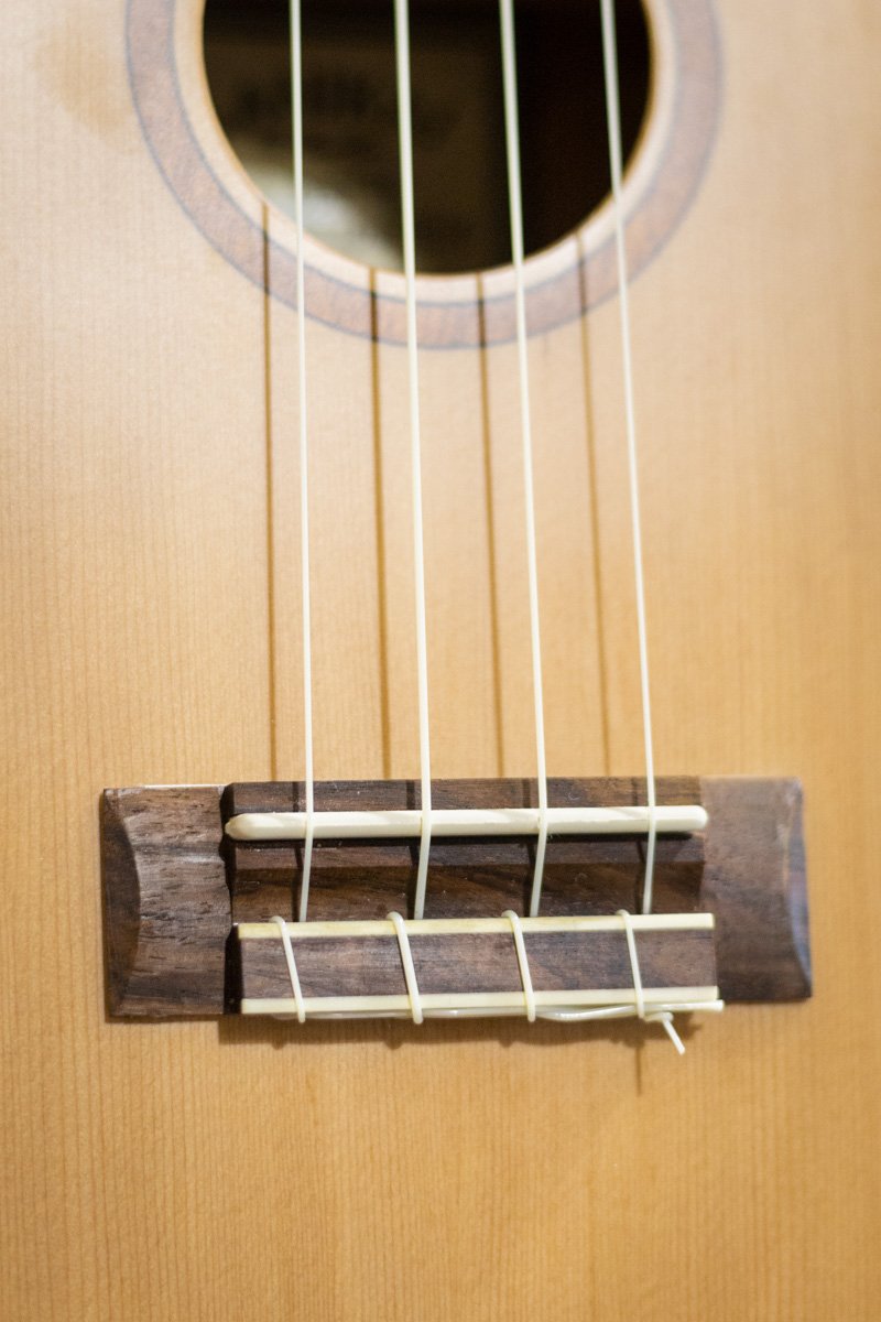 Lanikai CDST C Cedar Solid Top Concert Ukulele haggertys 11