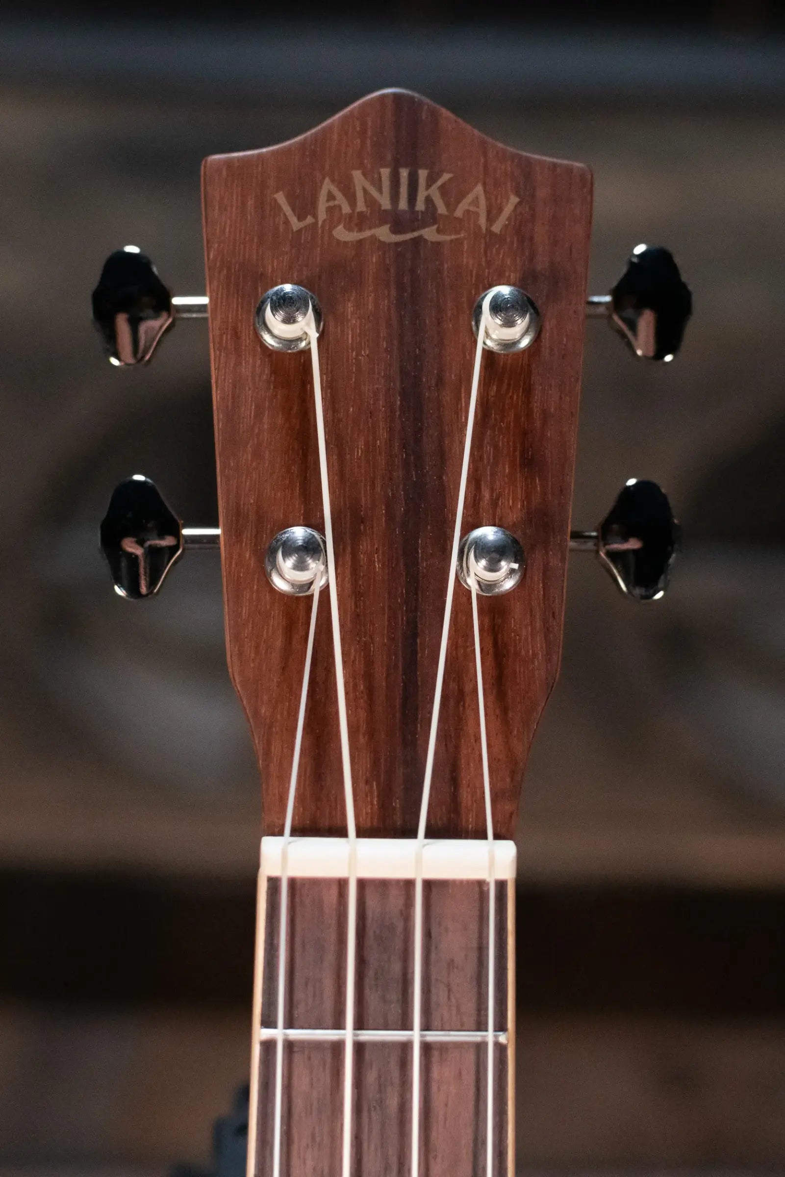 Lanikai SPST-T Solid Spruce Top Morado Back and Side Tenor Ukulele Natural