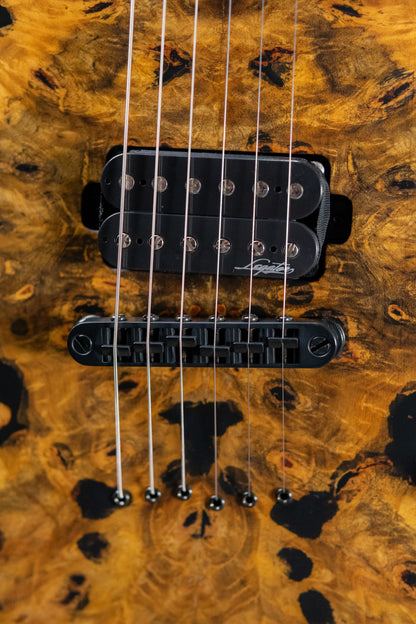 Legator N300-JB Electric Guitar - Jupiter Burst with Gig Bag