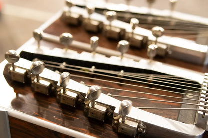 MSA Classic D-10 Double Neck Pedal Steel Guitar - Used