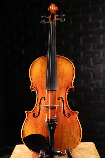 Maple Leaf Strings Artisan Collection Lady Claire Violin - 4/4