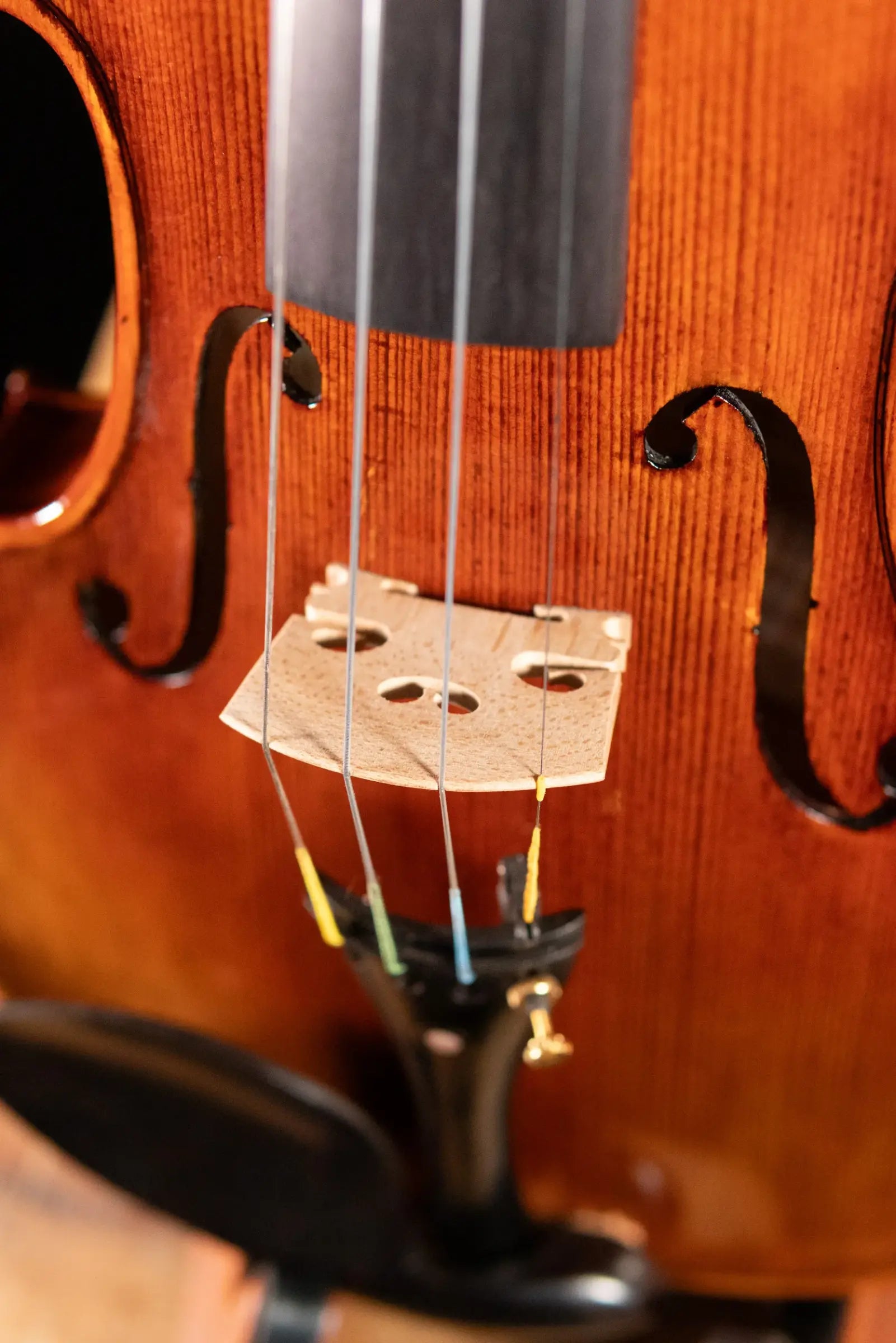 Maple Leaf Strings Artisan Collection Lady Claire Violin - 4/4
