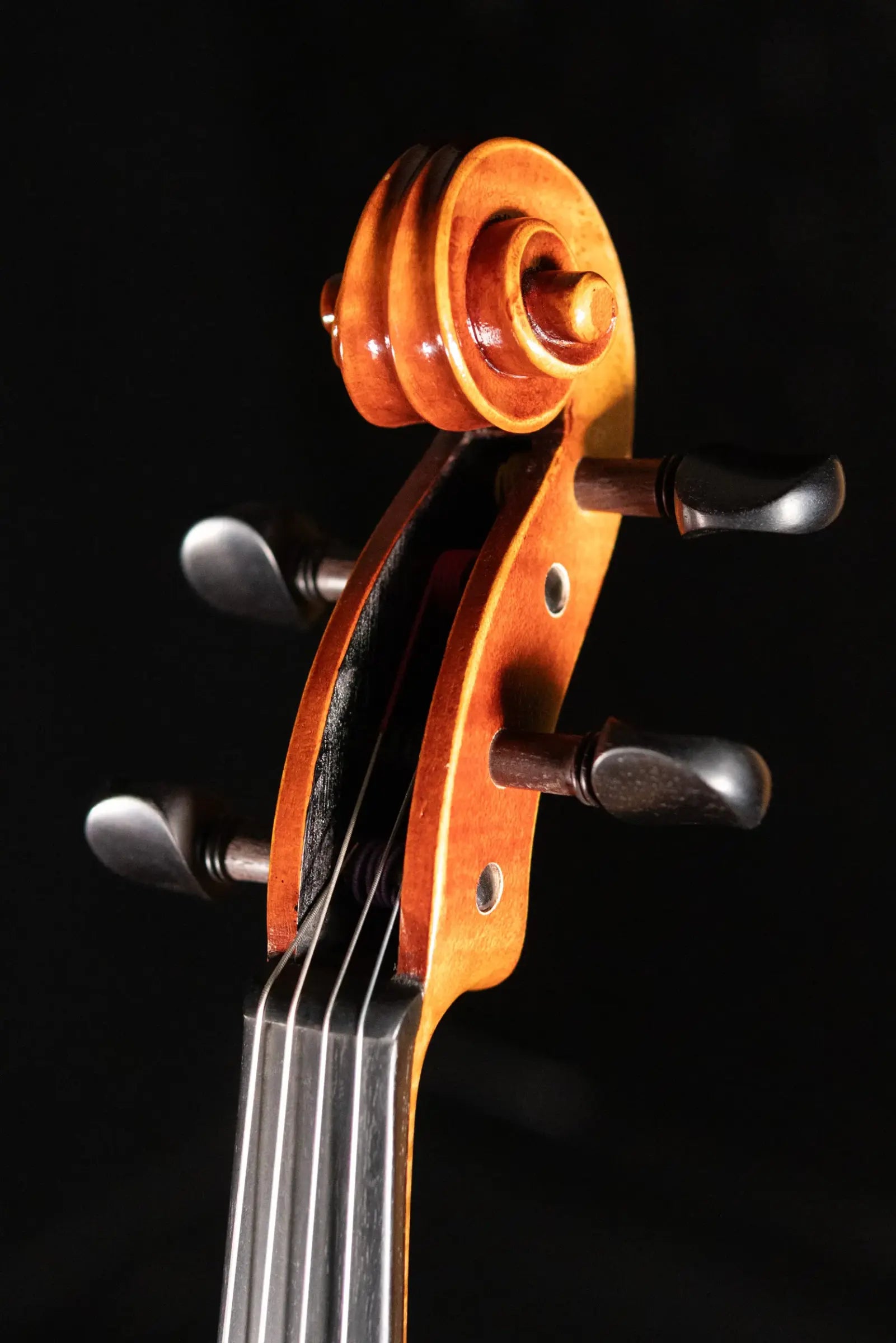 Maple Leaf Strings Lord Wilton Craftsman Collection Viola - 16.5"