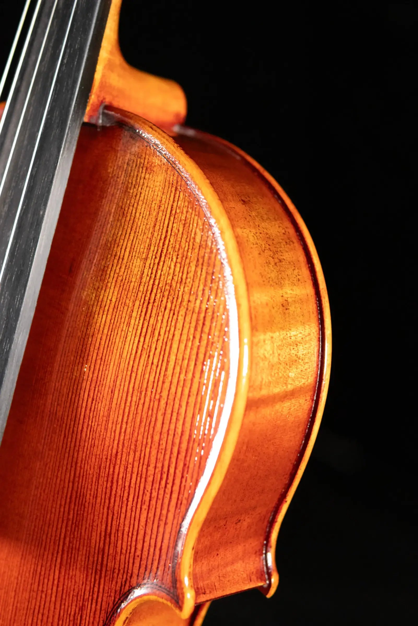 Maple Leaf Strings Lord Wilton Craftsman Collection Viola - 16.5"