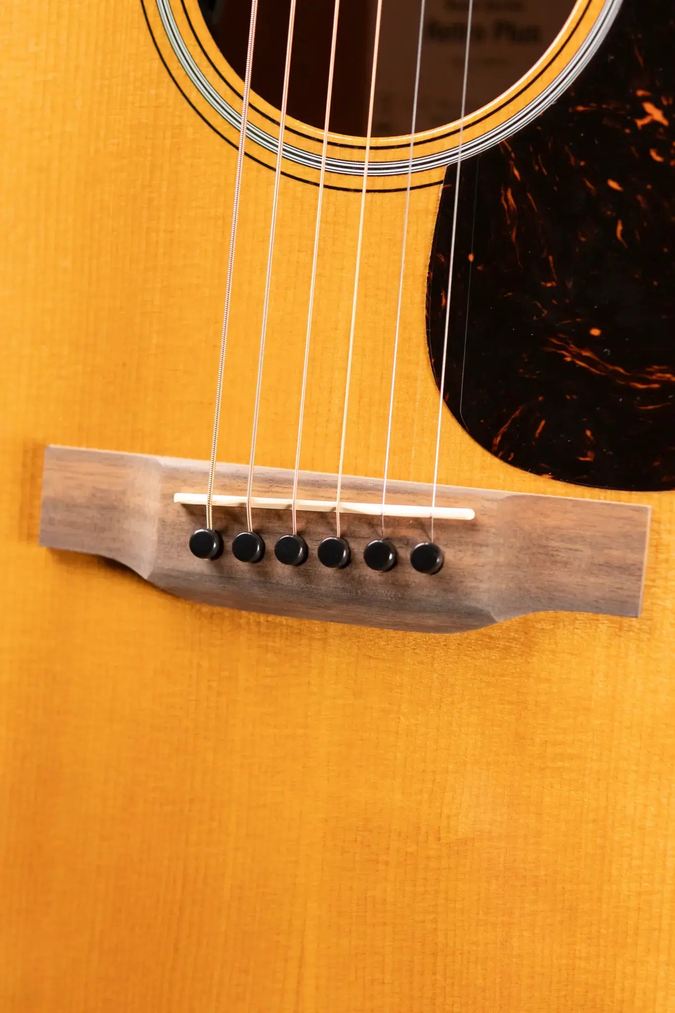 Martin DE Retro Plus Mahogany Acoustic/Electric Guitar with Gig Bag
