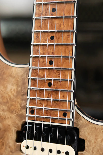 Mayones NAMM 2025 Regius 4Ever 6 – Master Grade Myrtlewood Burl with Mayones HISCOX Case
