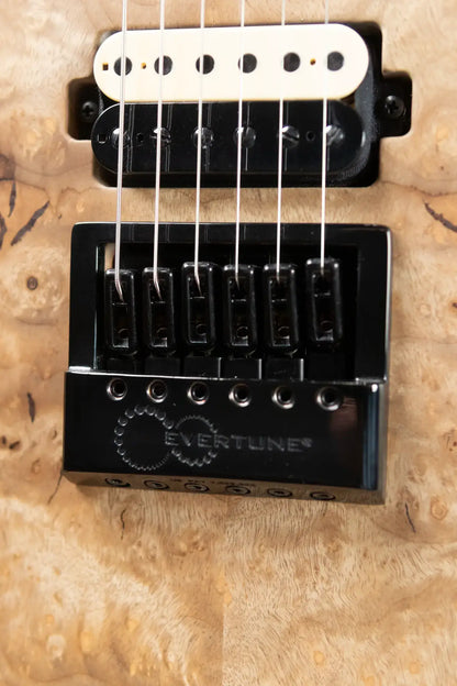 Mayones NAMM 2025 Regius 4Ever 6 – Master Grade Myrtlewood Burl with Mayones HISCOX Case