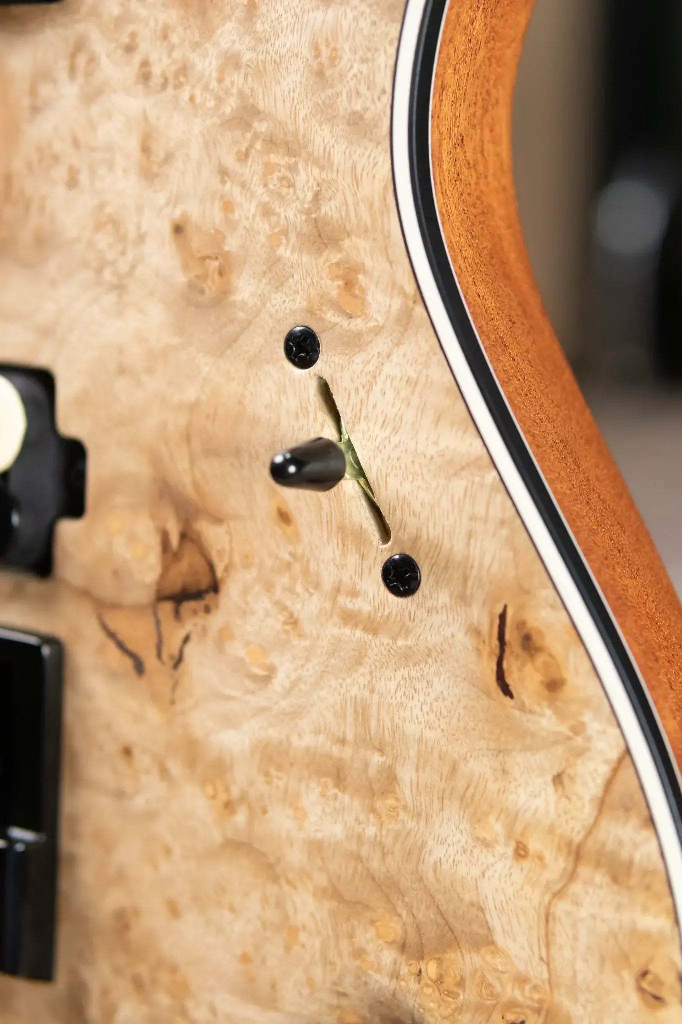 Mayones NAMM 2025 Regius 4Ever 6 – Master Grade Myrtlewood Burl with Mayones HISCOX Case