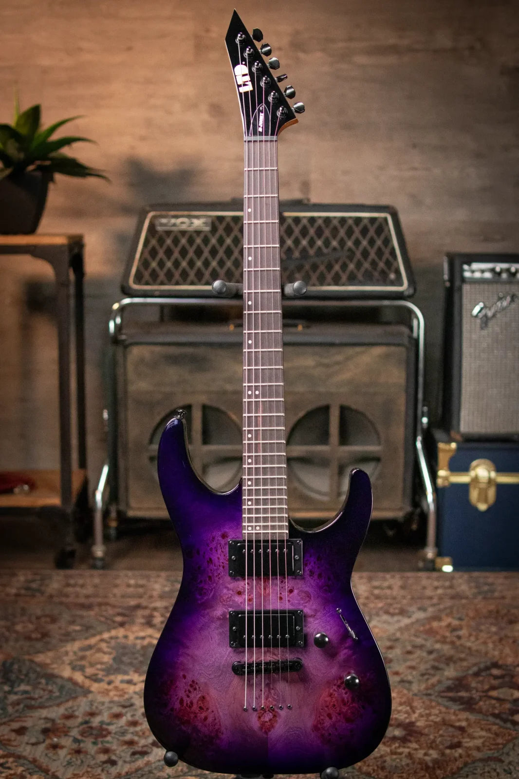 ESP LTD M-200DX NT Electric Guitar - Purple Burst