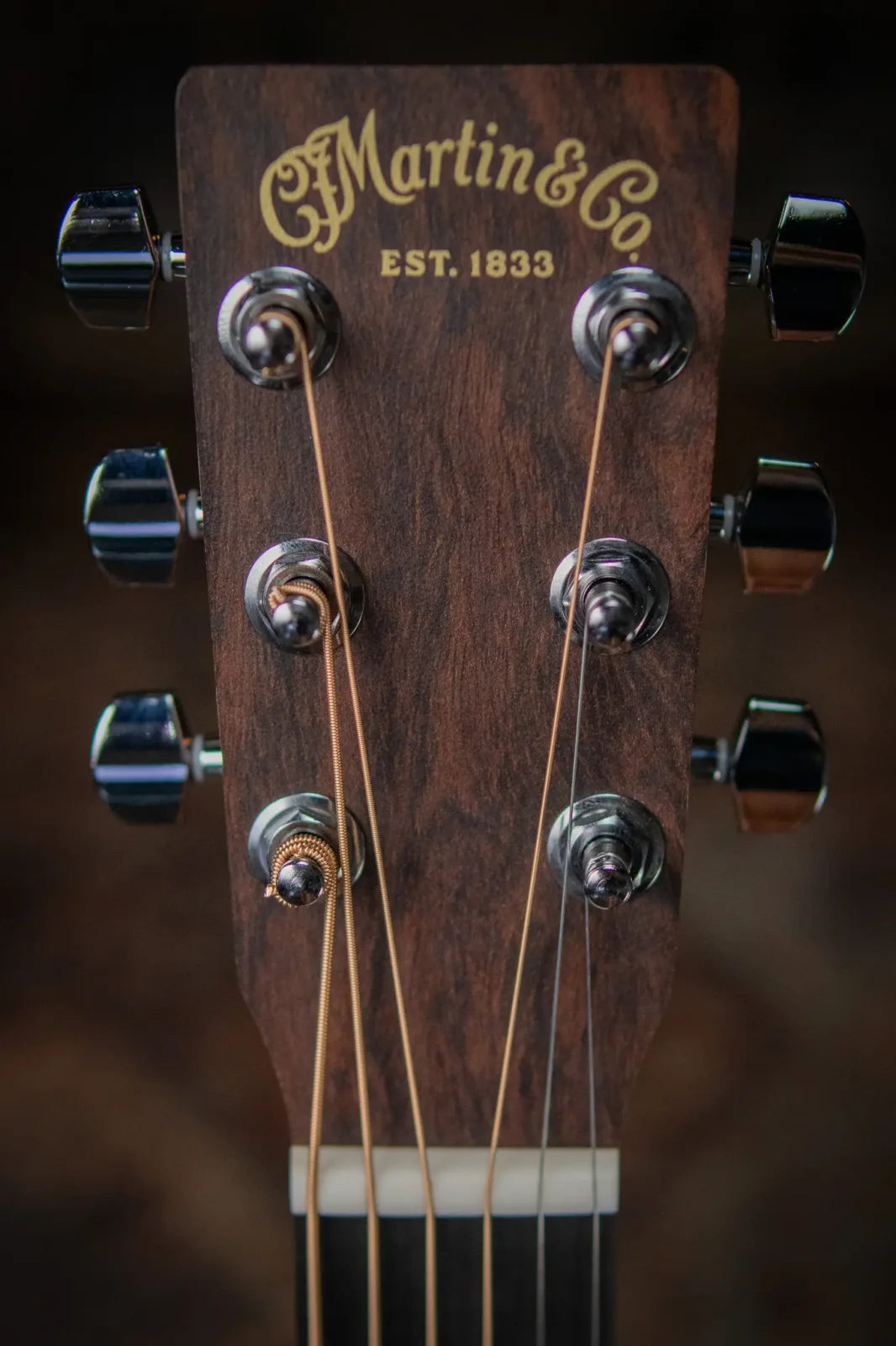 LX1 Little Martin with Gig Bag