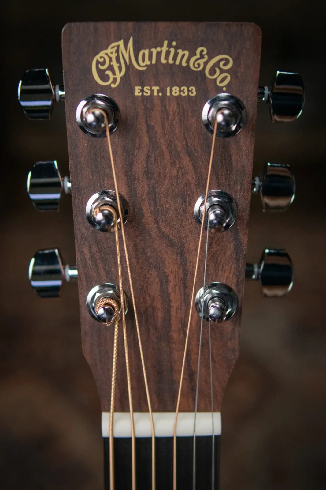 LX1 Little Martin with Gig Bag