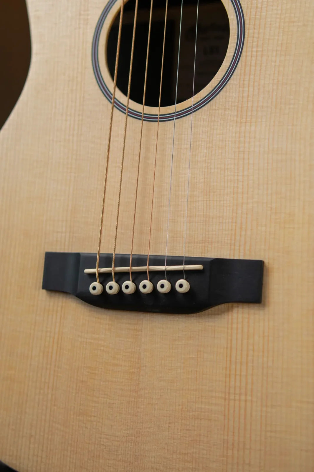 LX1 Little Martin with Gig Bag