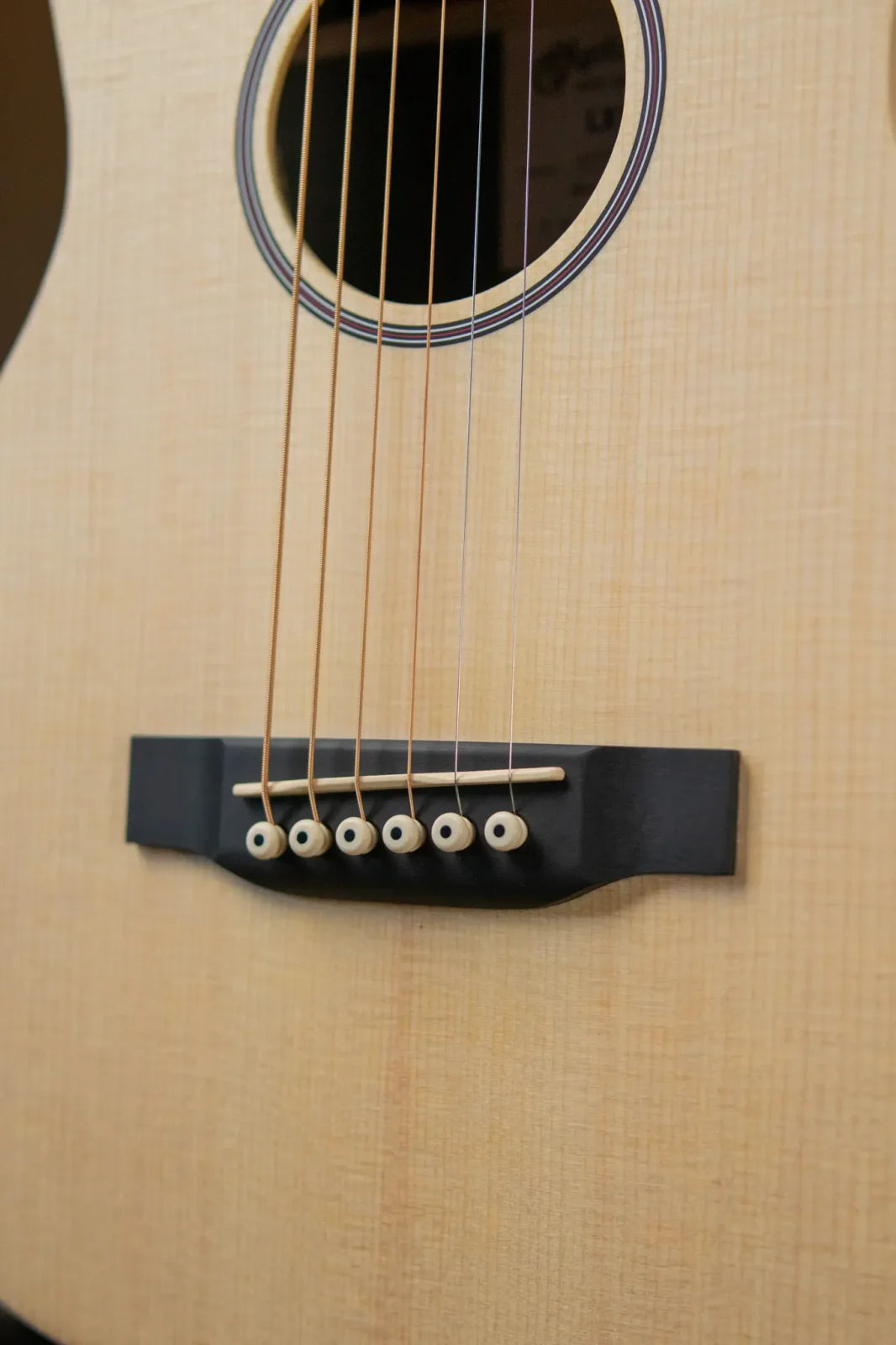 LX1 Little Martin with Gig Bag