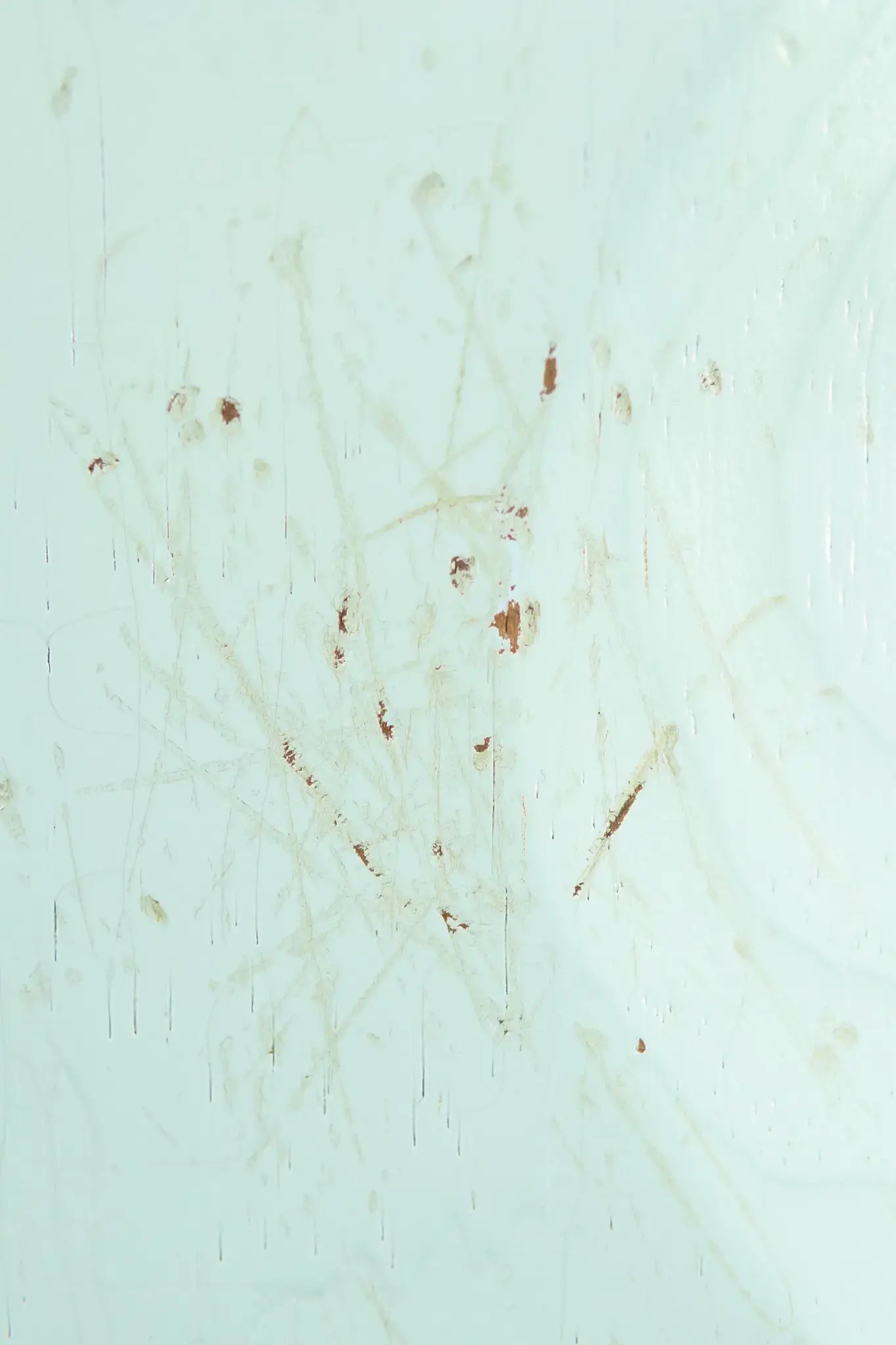 Novo Custom Shop Serus H2 Electric Guitar - Sonic Blue with Gig Bag