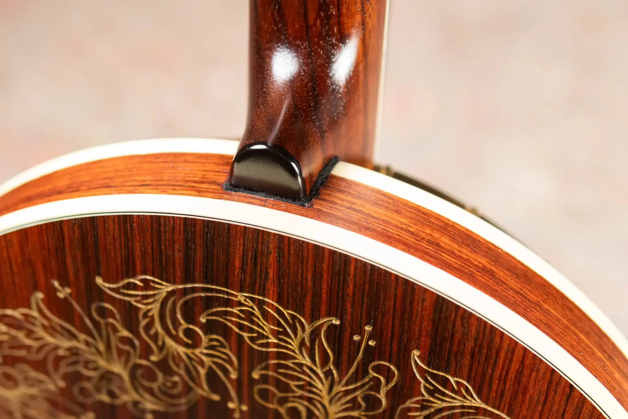 OME Banjos Artist Millennium 5-String Resonator Banjo with Hardshell Case