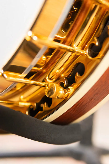 OME Banjos Artist Millennium 5-String Resonator Banjo with Hardshell Case