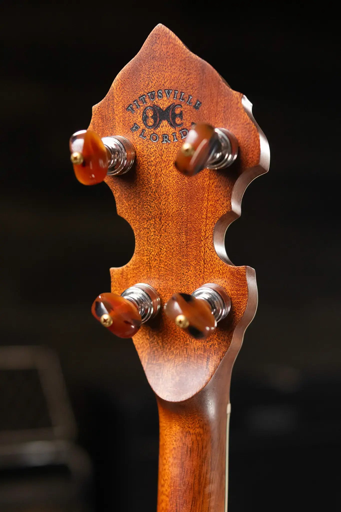 OME Banjos Gold Hill Primrose Classic 5-String Resonator Banjo with Hardshell Case