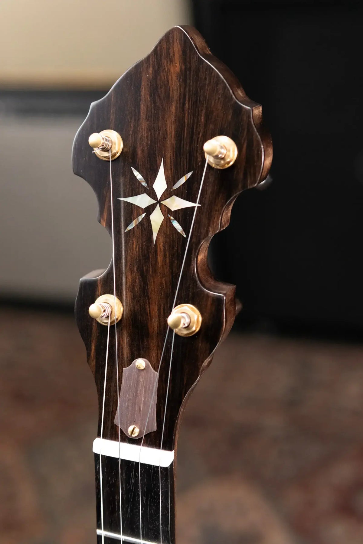 OME Banjos Gold Hill Vintage Alpha 5-String Resonator Banjo with Hardshell Case