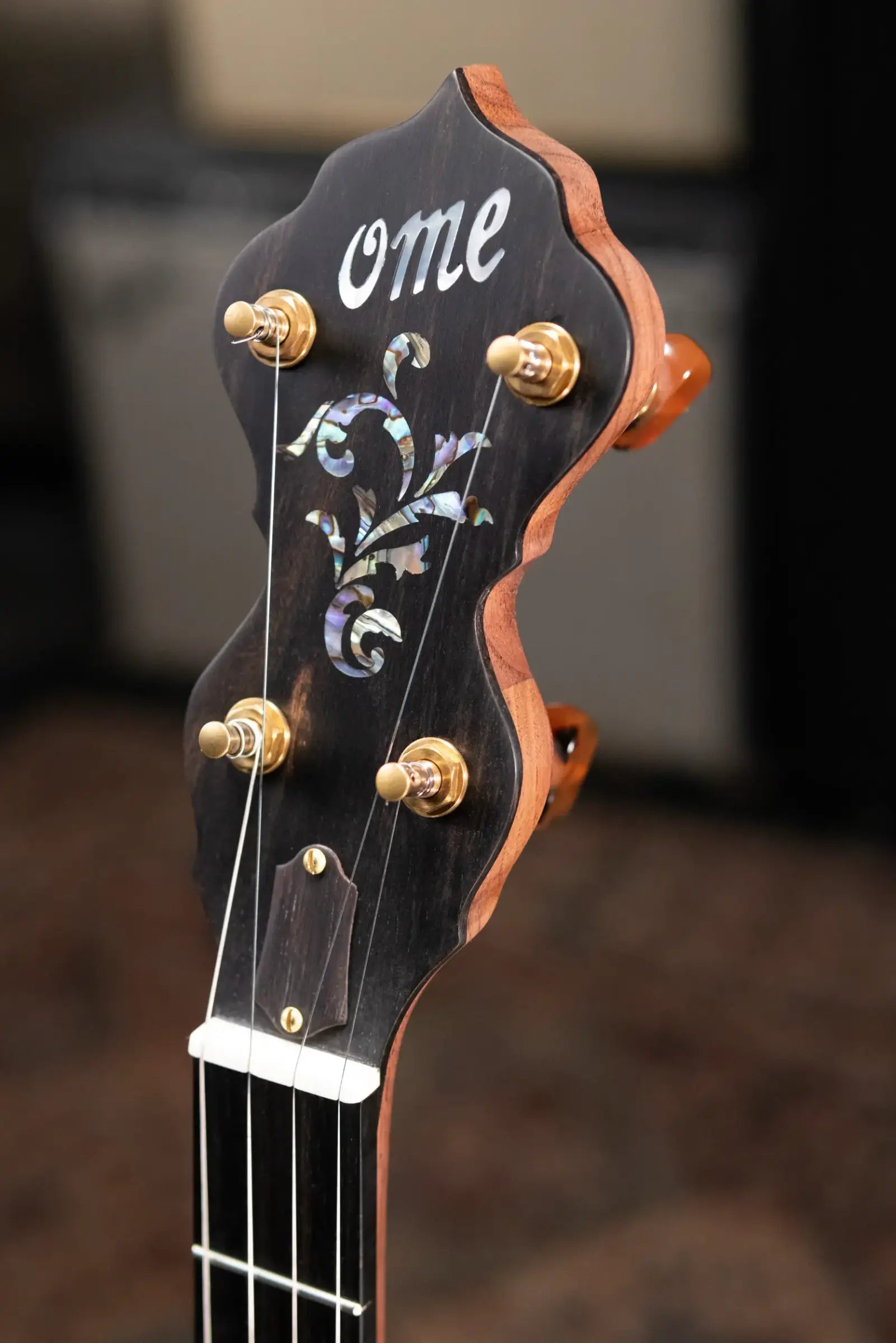 OME Banjos Juniper 5-String Open Back Banjo with Hardshell Case