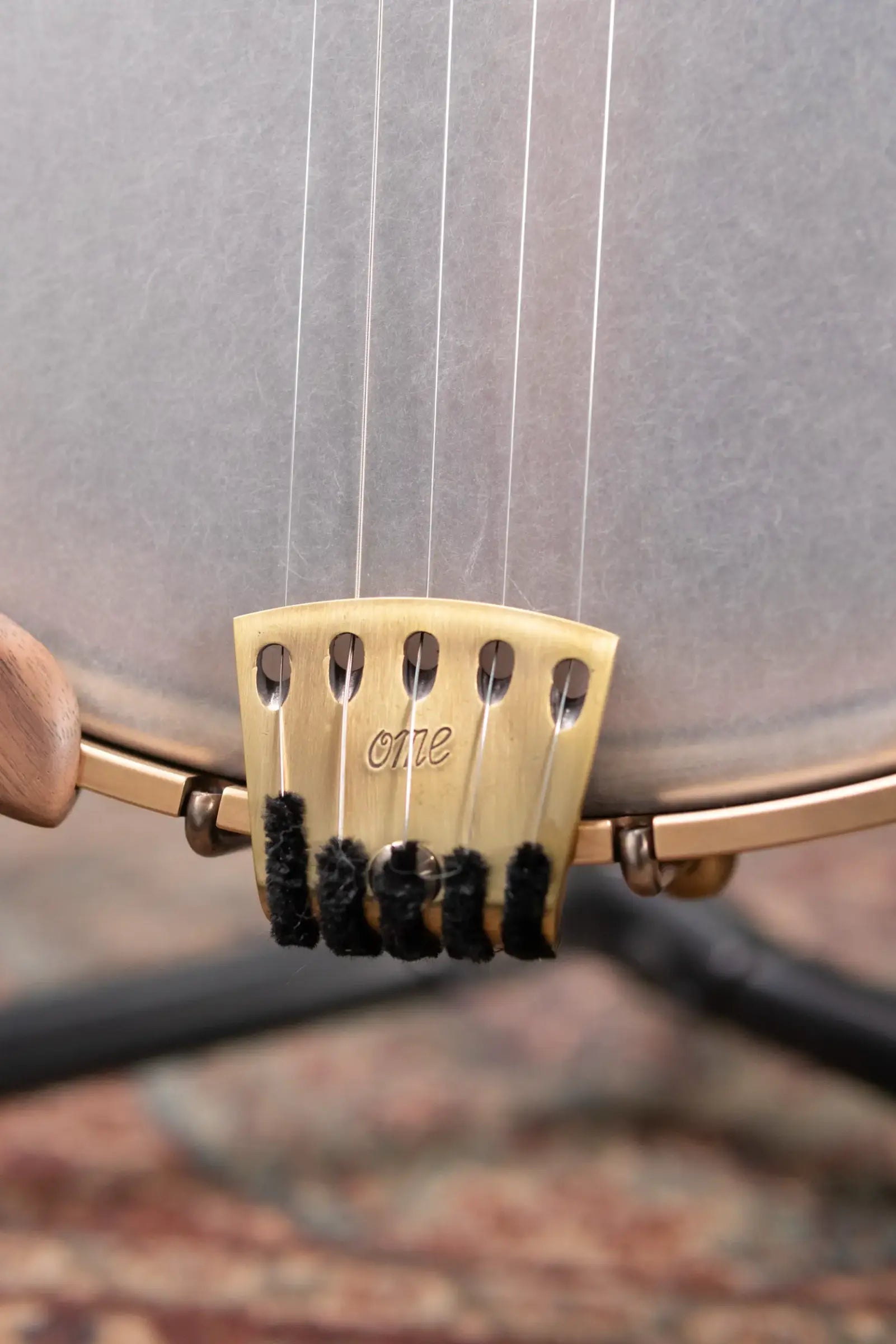 OME Banjos Juniper 5-String Open Back Banjo with Hardshell Case