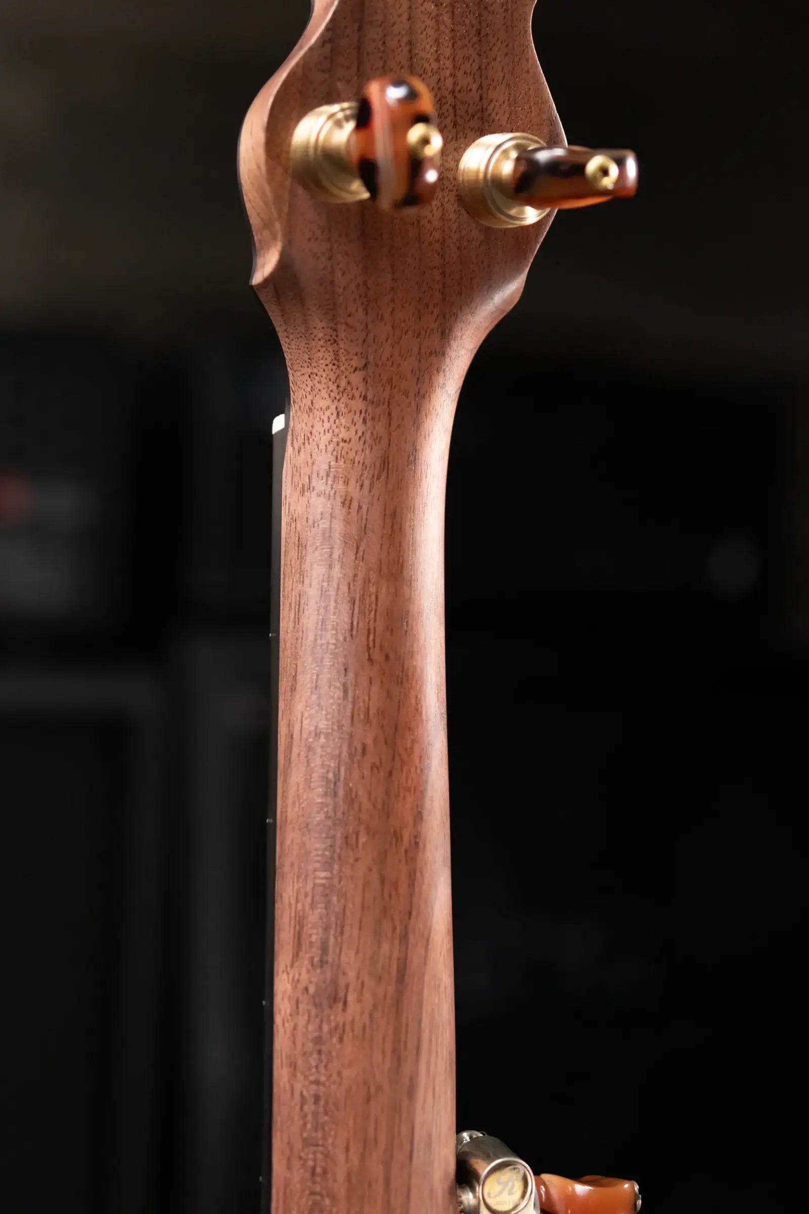 OME Banjos Juniper 5-String Open Back Banjo with Hardshell Case