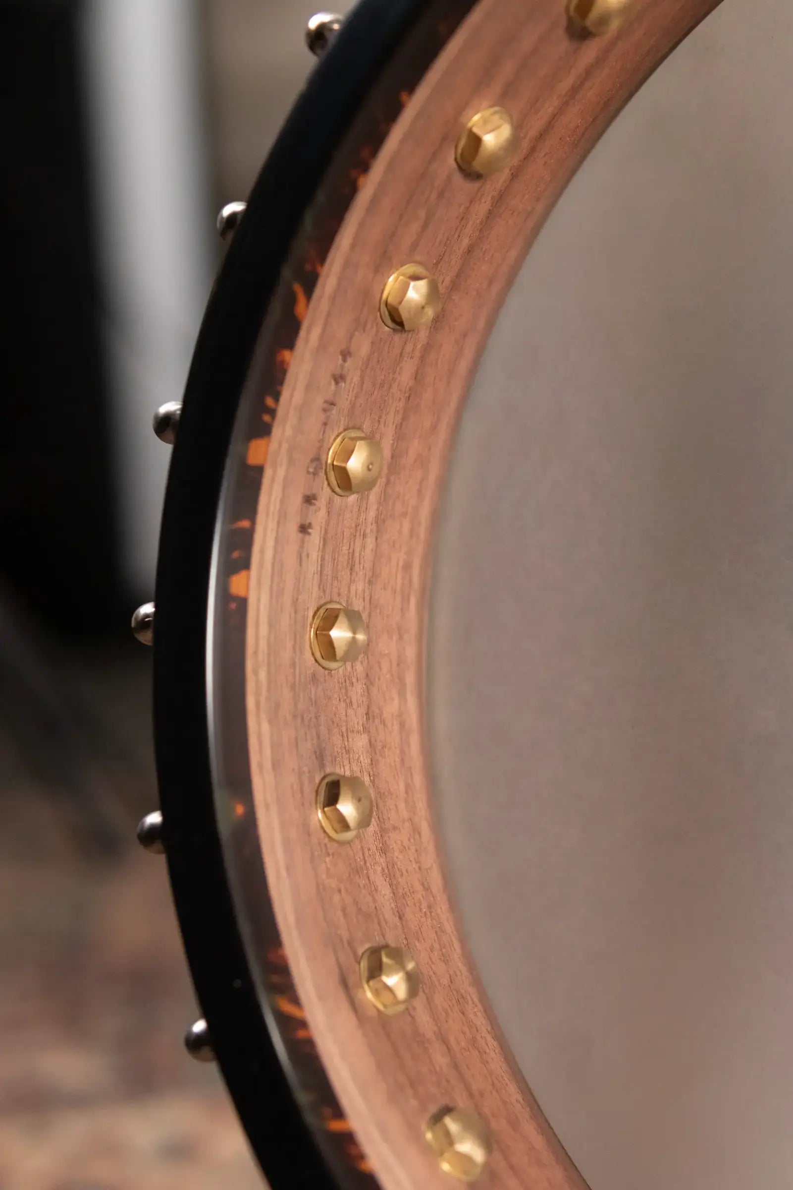 OME Banjos Juniper 5-String Open Back Banjo with Hardshell Case