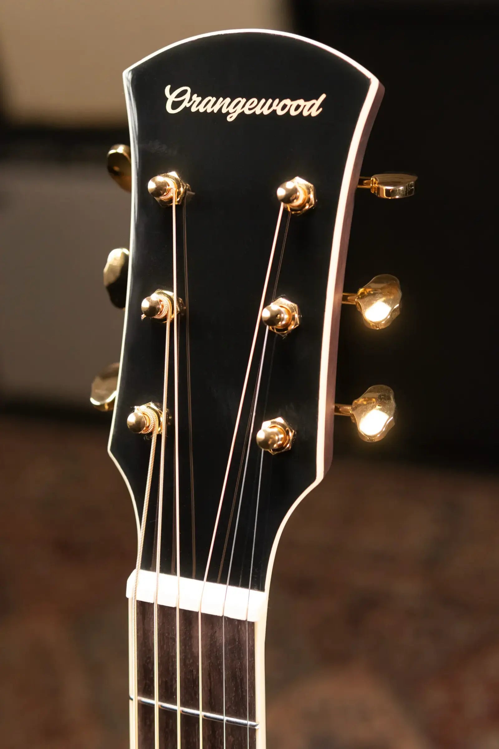 Orangewood Pomona Live Acoustic/Electric Guitar with Gig Bag - Used
