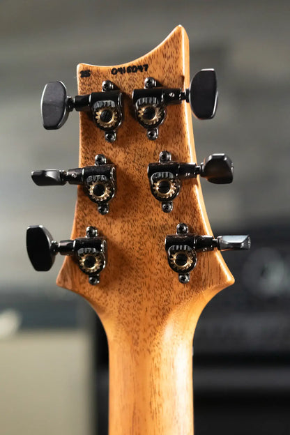 PRS 40th Anniversary Custom 24 Limited Edition Figured Mango Electric Guitar - Charcoal with Hardshell Case