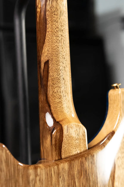 PRS 40th Anniversary Special Semi-Hollow Electric Guitar - Custom Color with Hardshell Case