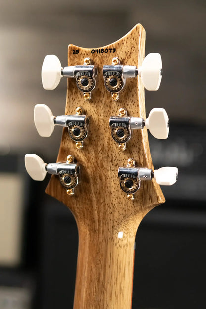 PRS 40th Anniversary Special Semi-Hollow Flame Maple Artist Top Electric Guitar - Custom Color with Hardshell Case