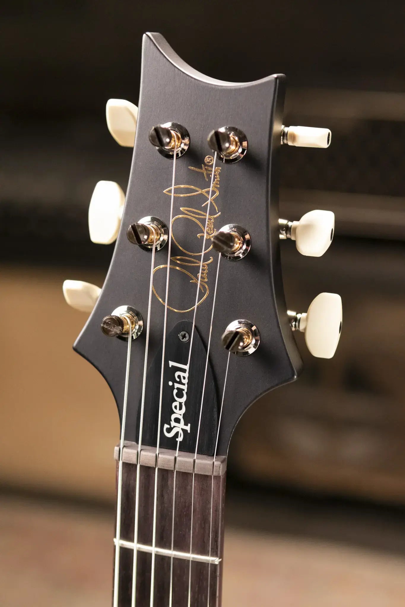 PRS CE 24 Special Electric Guitar - Sprayer's Choice with Gig Bag