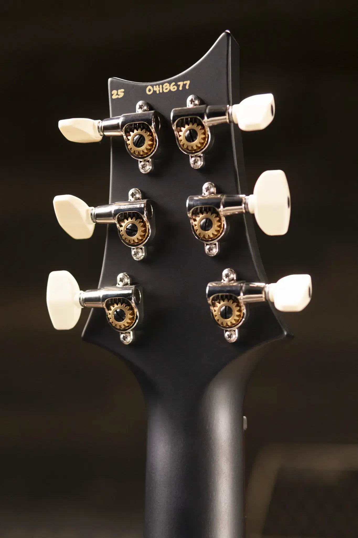 PRS CE 24 Special Electric Guitar - Sprayer's Choice with Gig Bag