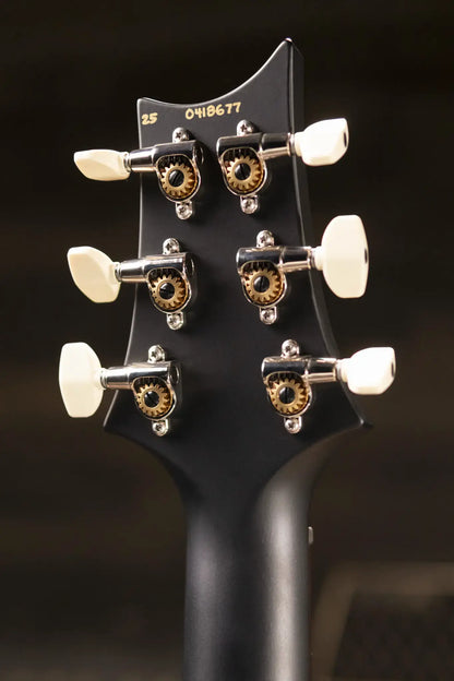 PRS CE 24 Special Electric Guitar - Sprayer's Choice with Gig Bag