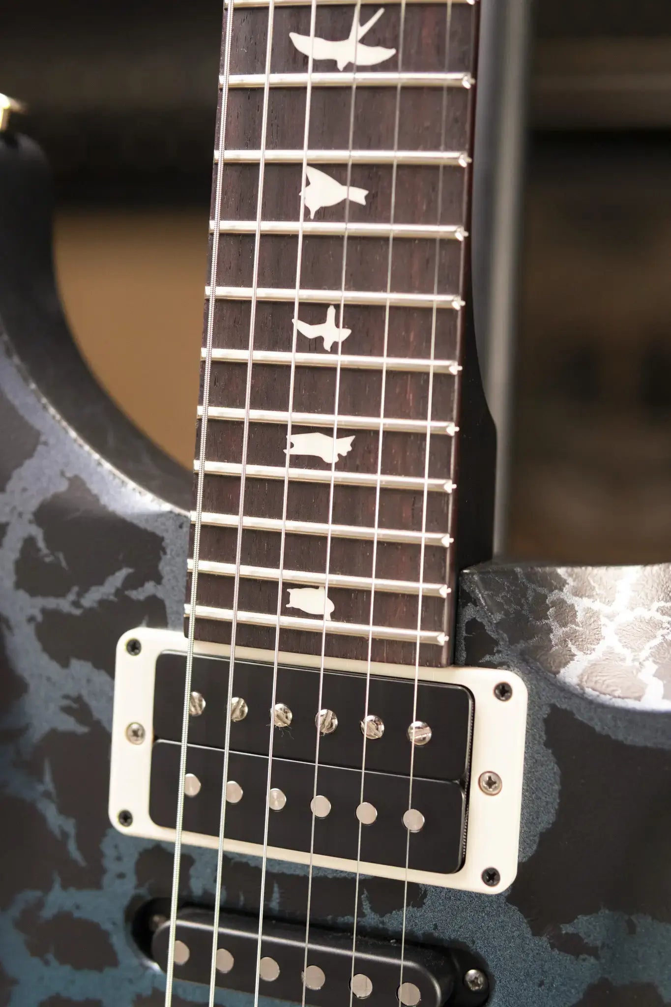 PRS CE 24 Special Electric Guitar - Sprayer's Choice with Gig Bag