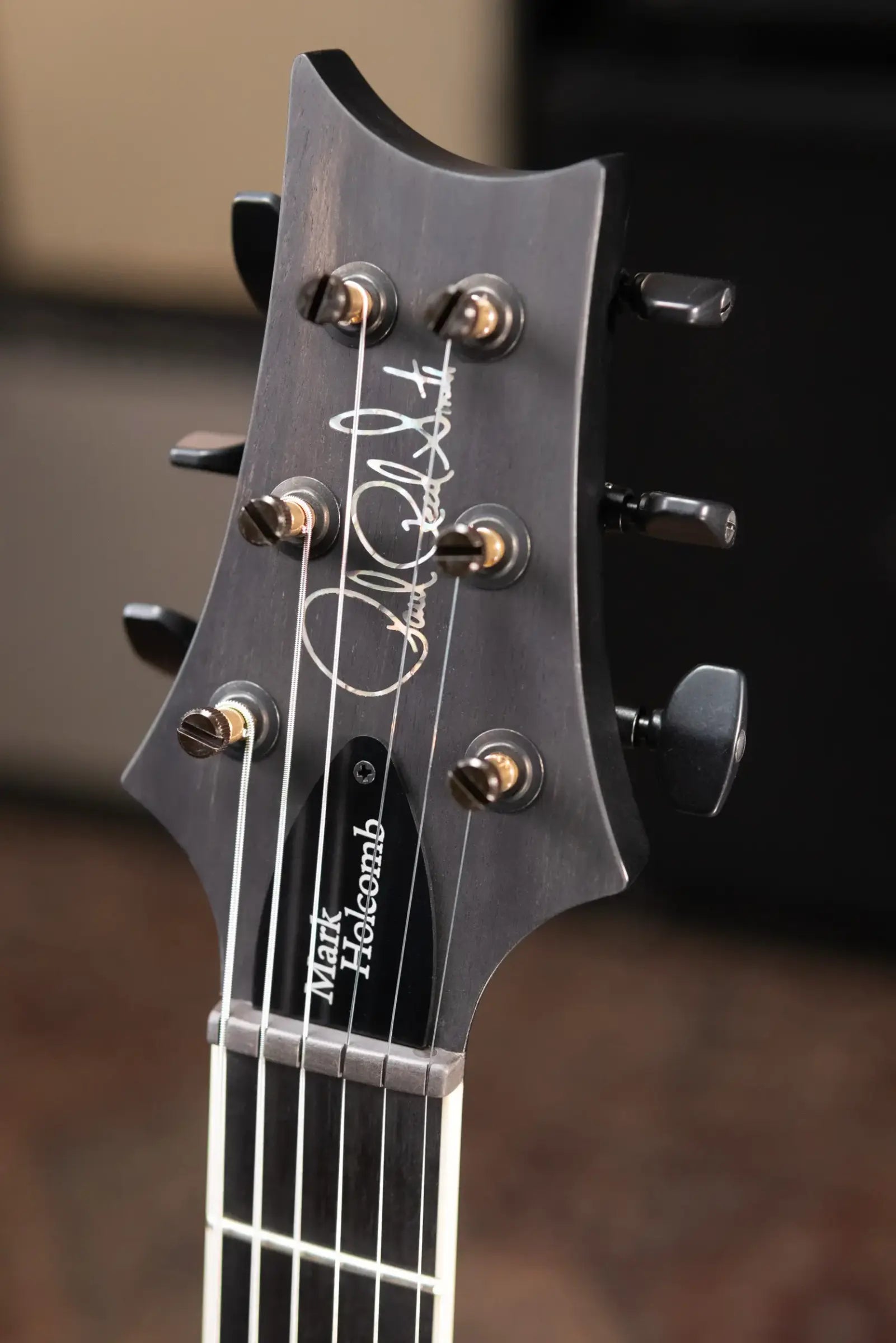 PRS Core Mark Holcomb Signature Electric Guitar - Purple Mist Wraparound Burst with Hardshell Case