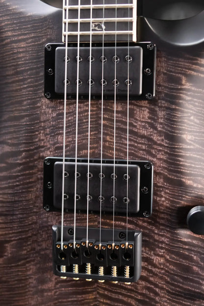 PRS Core Mark Holcomb Signature Electric Guitar - Purple Mist Wraparound Burst with Hardshell Case