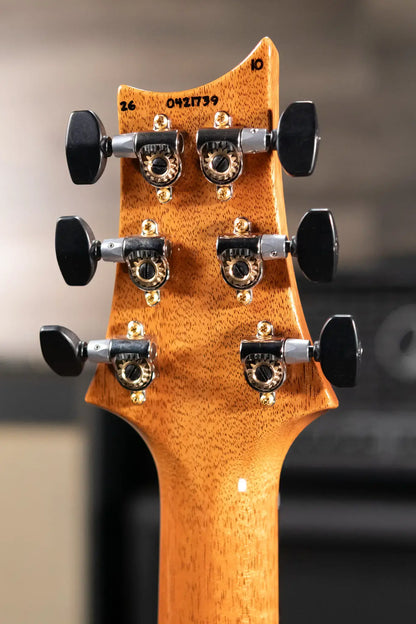 PRS Custom 24 10-Top Electric Guitar - Arctic Blue with Hardshell Case